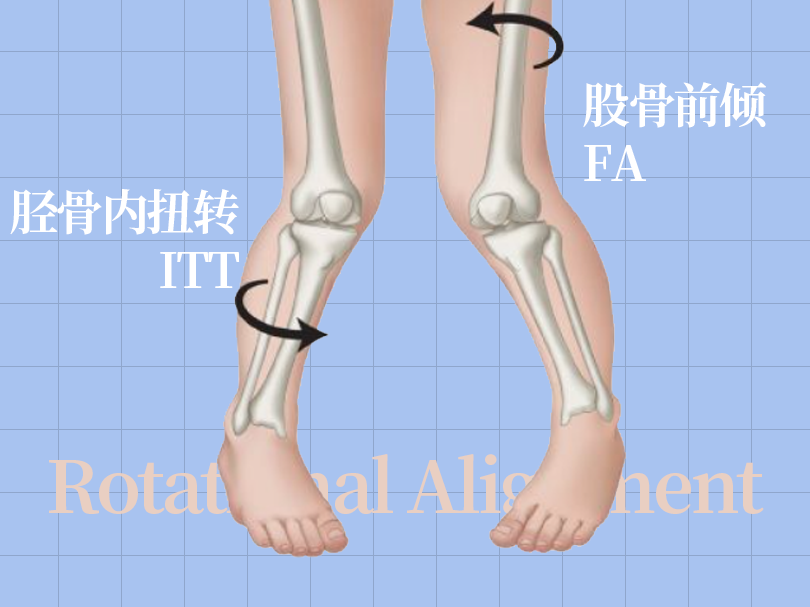 足底壓力分布計(jì)量